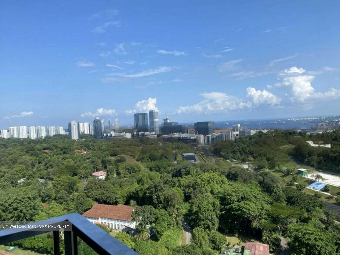 Normanton Park (D5), Apartment #457654391